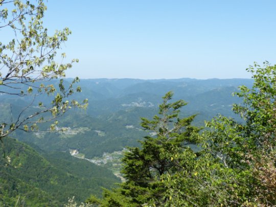画像8