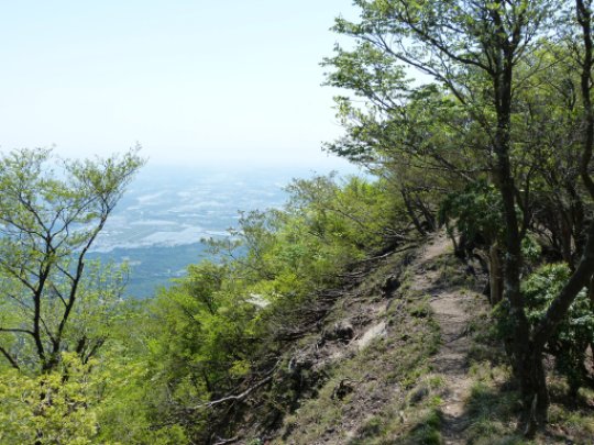 画像38