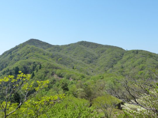 画像39