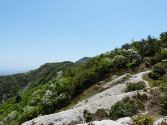 画像52