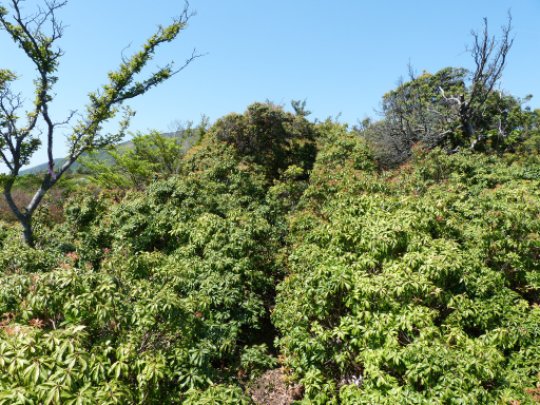 画像58