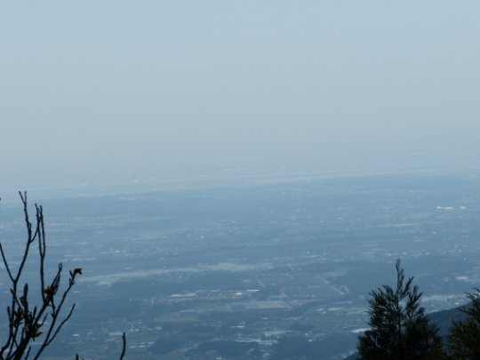 画像9