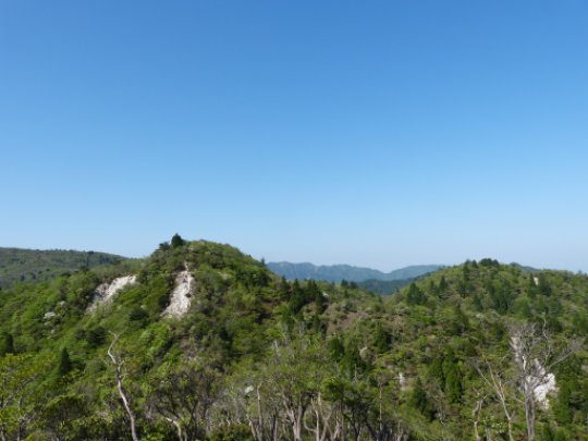 画像10