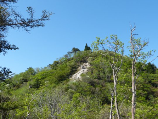 画像12