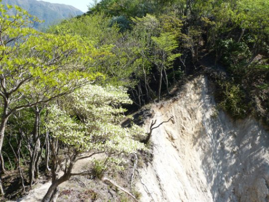 画像13