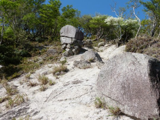 画像14
