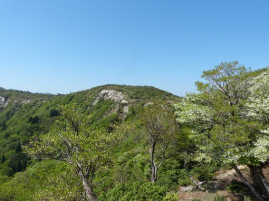 画像27