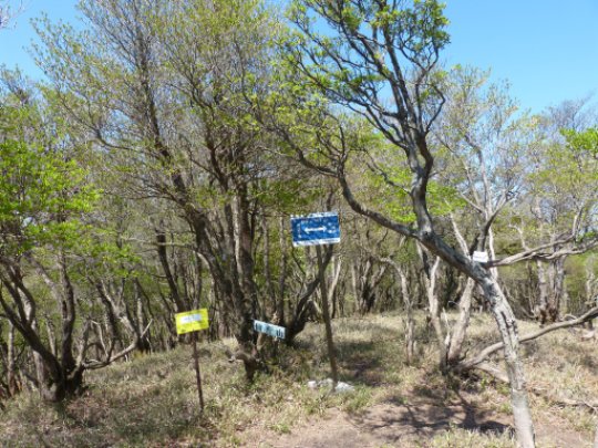 仙香山