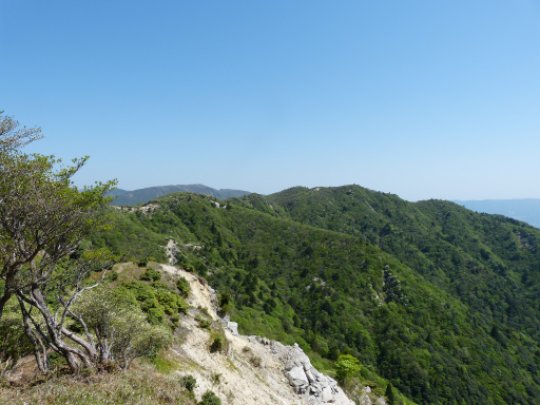 画像36