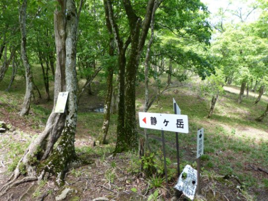 静ヶ岳入口