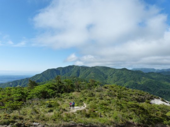 画像4