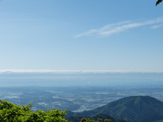 画像6