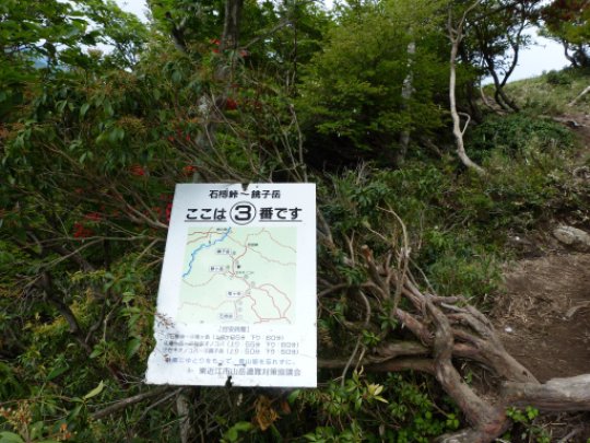 画像9