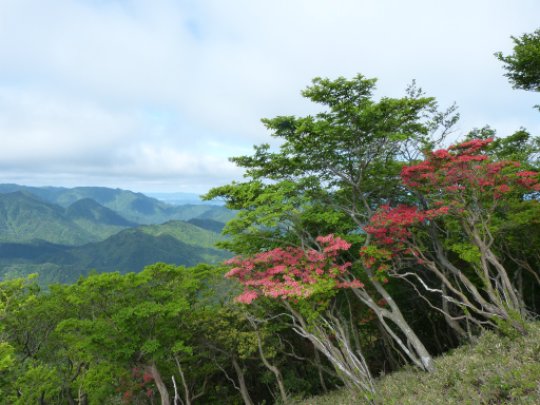 画像13