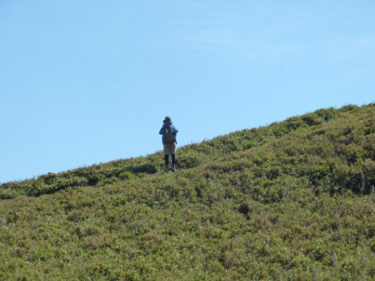 画像15