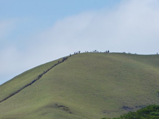 画像52