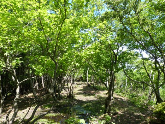 画像56