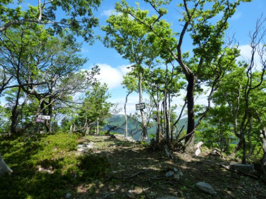 画像57