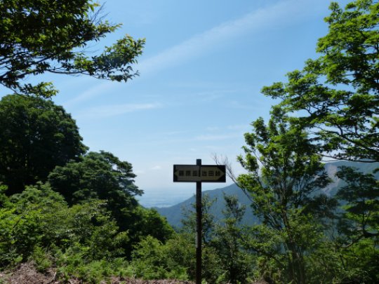 藤原岳山腹道分岐