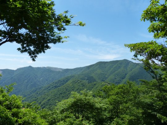 画像36