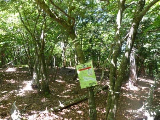 迷い尾根