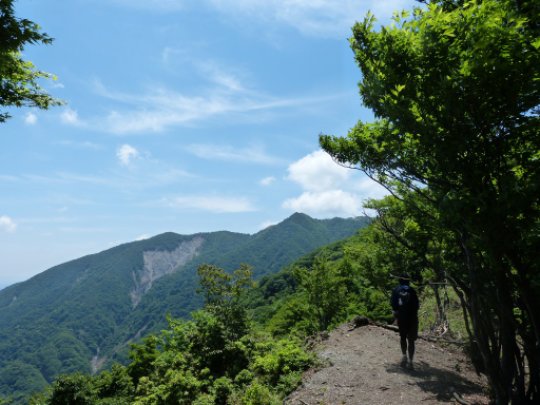 画像44