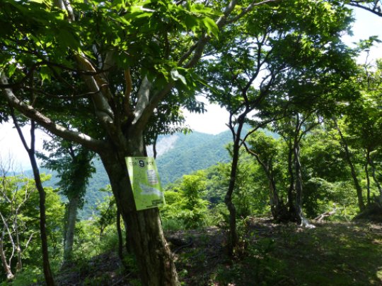 画像45