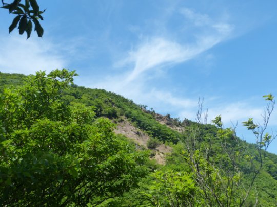 画像53
