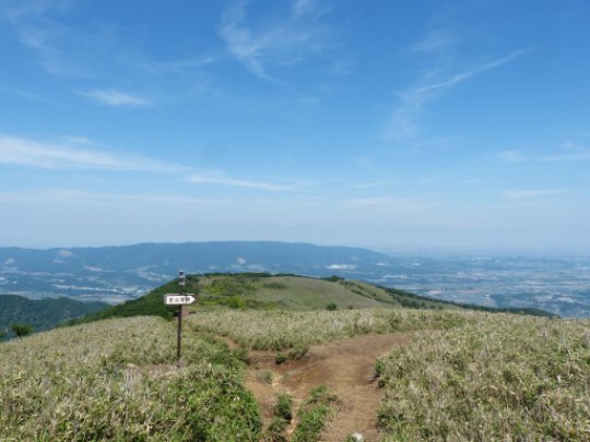 金山尾根分岐