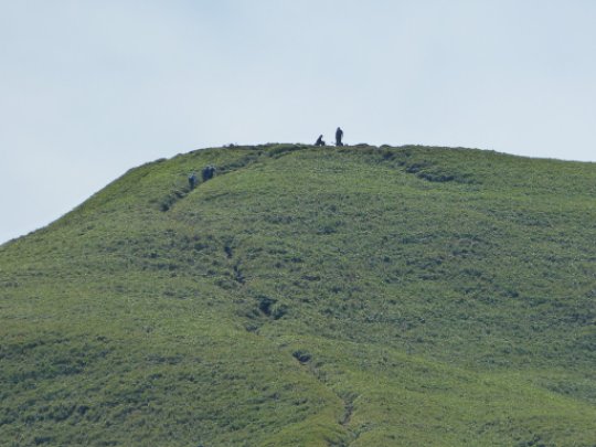 金山尾根展望台