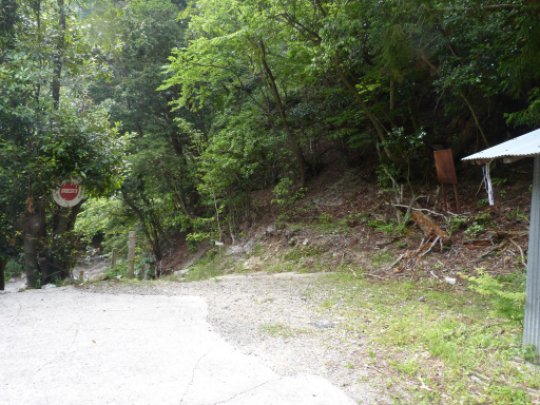 竜ヶ岳裏道登山口