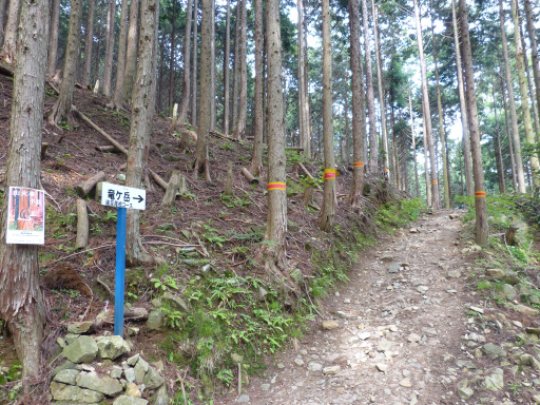 画像71