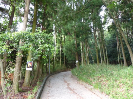 神武神社