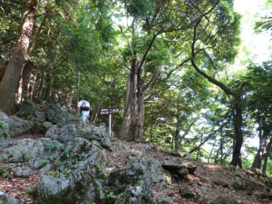 藤原岳登山道二合目