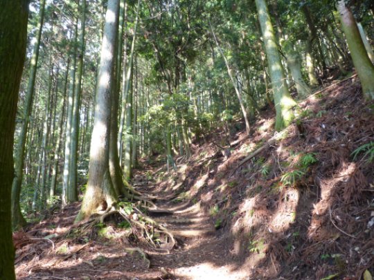 画像8
