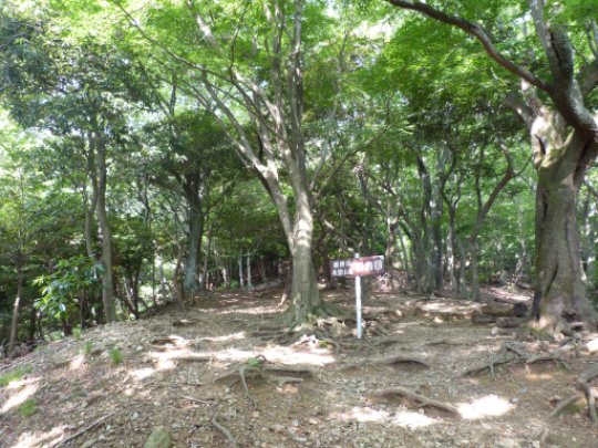 藤原岳登山道四合目