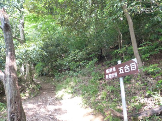 藤原岳登山道五合目