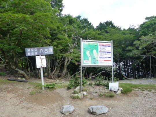 藤原岳登山道八合目