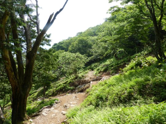 画像15