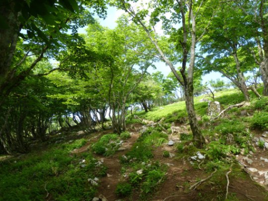 画像18