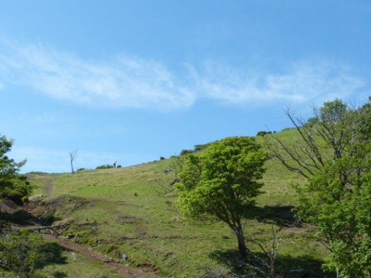 画像21
