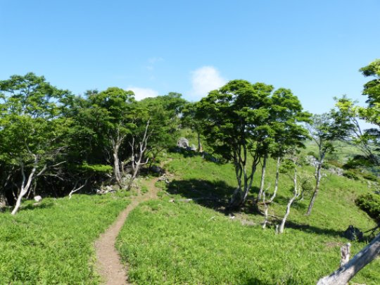 画像26
