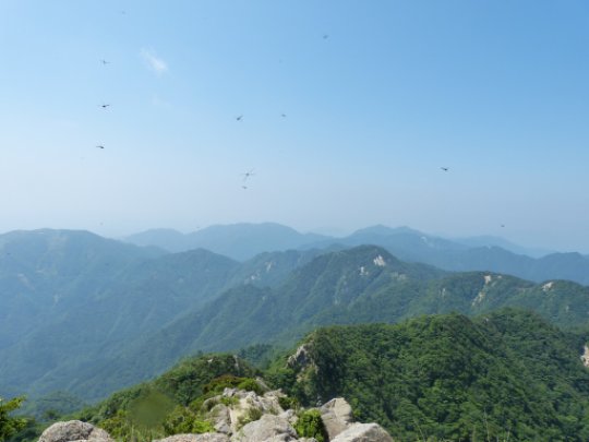 画像20