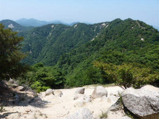 画像27