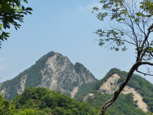 画像30