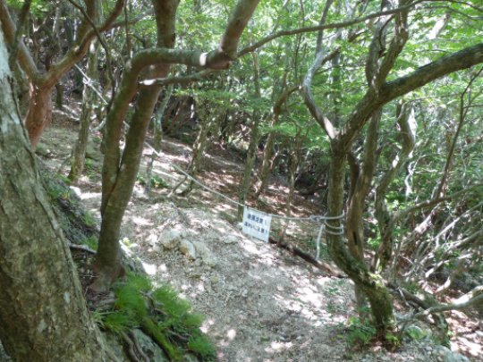 画像32