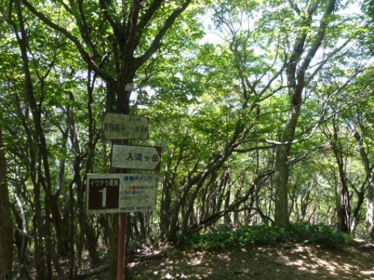 イワクラ尾根分岐 