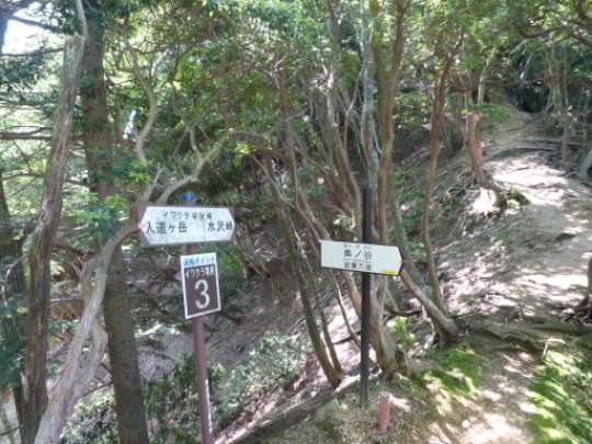 イワクラ谷分岐 
