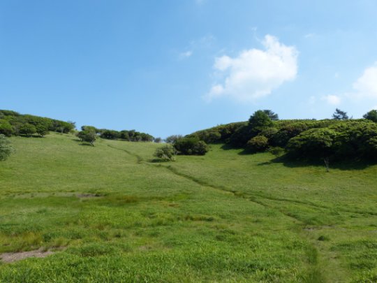 画像45