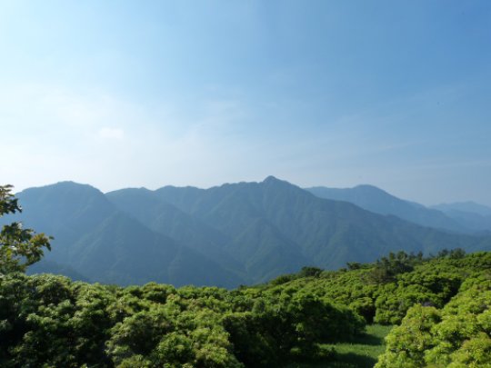 画像49